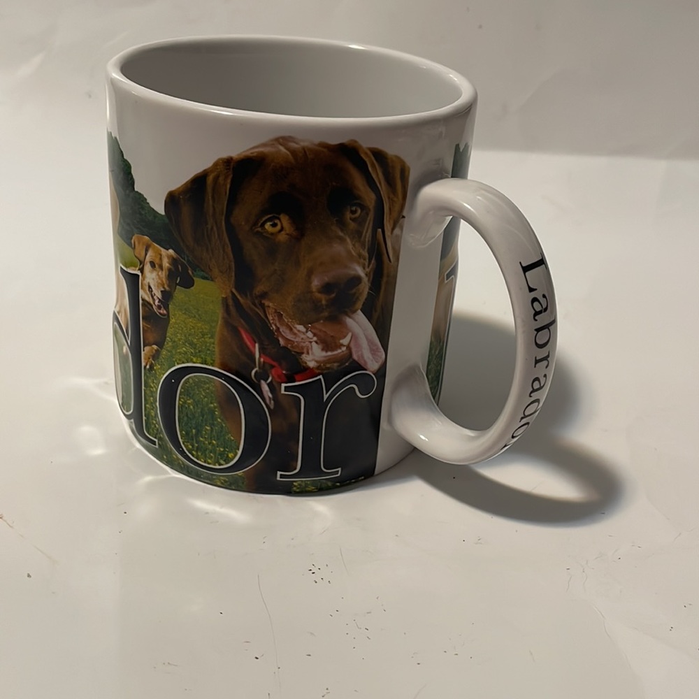 Labrador Americaware Mug 2007 - Picture 4 of 7